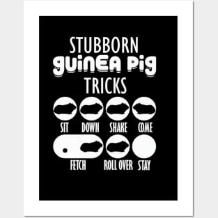 Stubborn Guinea Pig tricks with seven styles Posters and Art